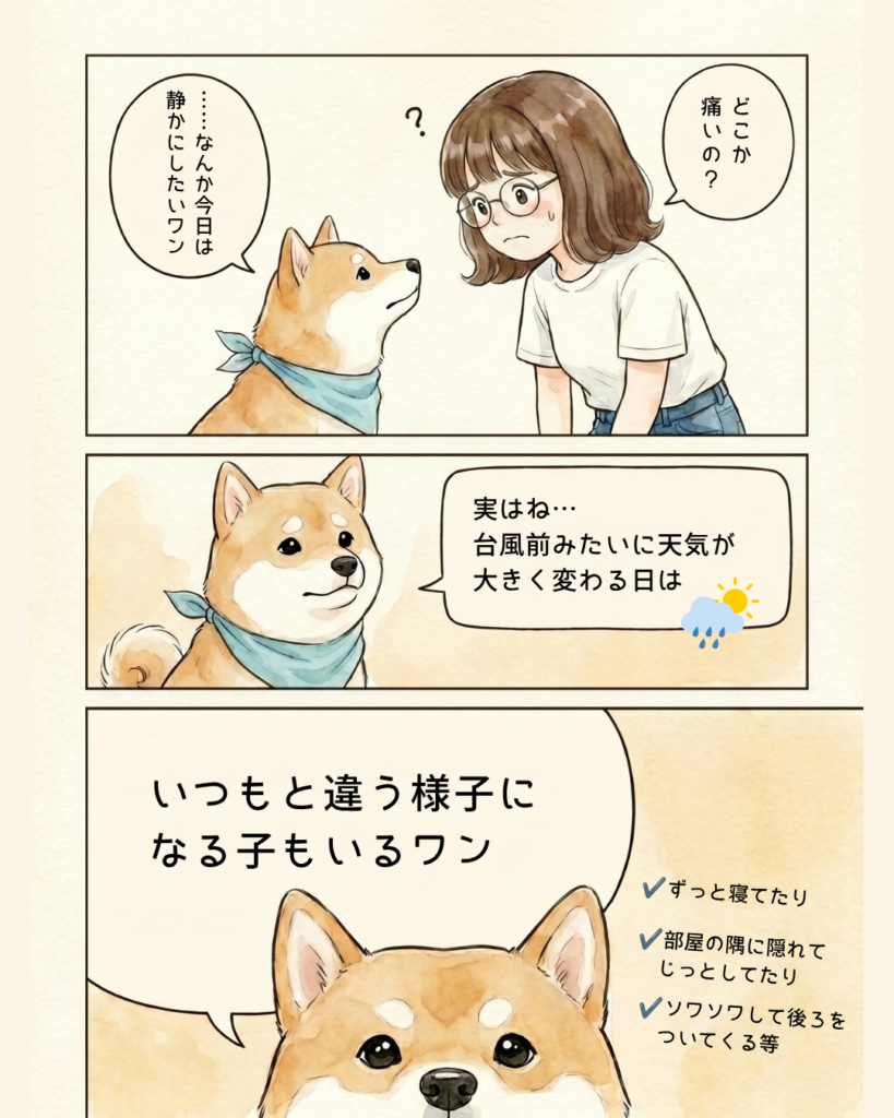 【犬の天気痛？】台風前に愛犬の様子が違う…寝る・食欲低下・ソワソワするときの対策漫画03