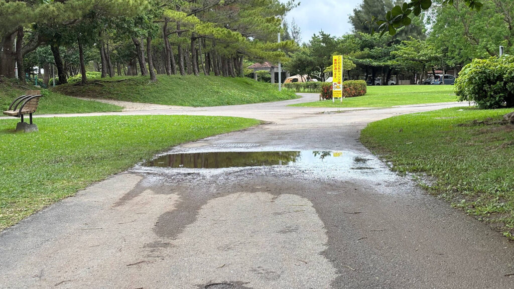 感染した犬の排泄物や、それが混ざった泥、草むら、雨上がりの水たまりなどに潜んでいる