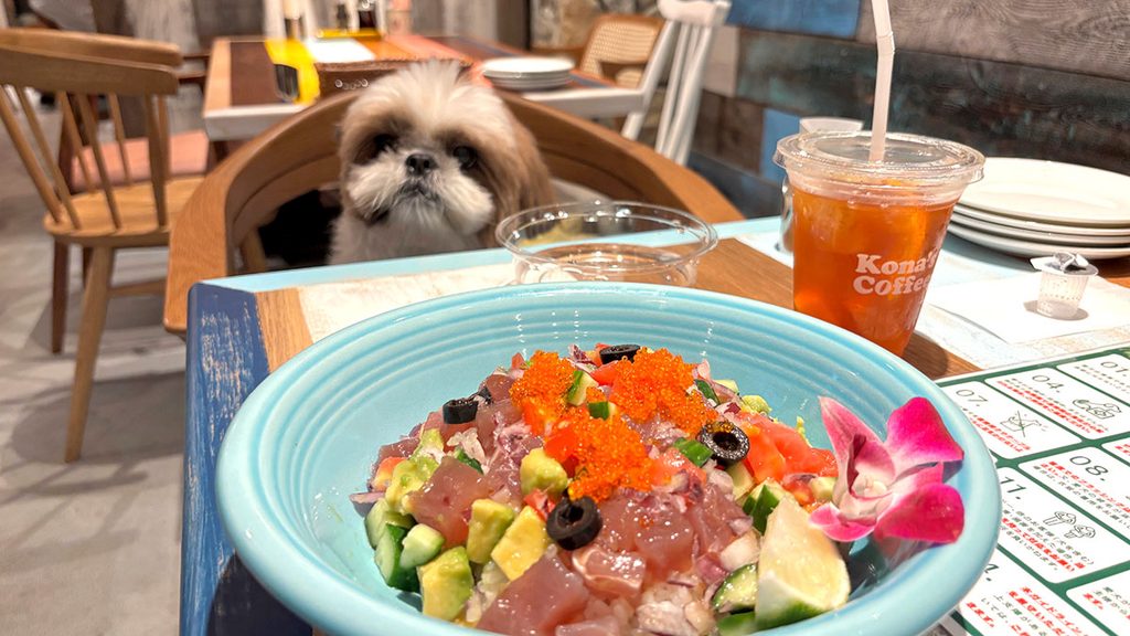 ハワイアンな絶品ランチ＆持ち帰りOKのドリンク