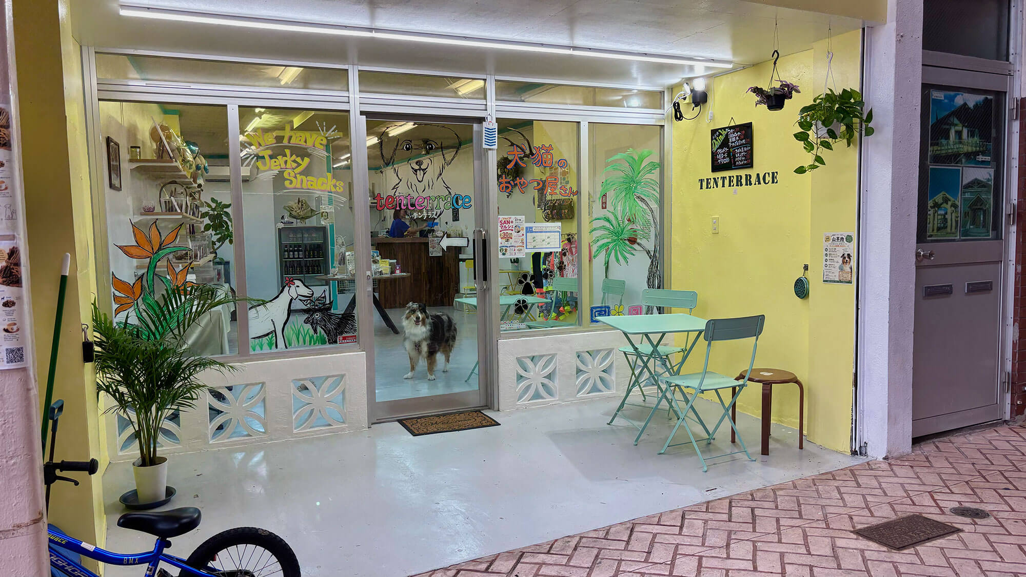tenterrace(テンテラス)-犬猫のオヤツや雑貨のお店-