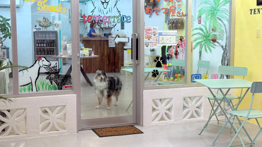 tenterrace(テンテラス)看板犬テンテちゃんがお出迎え