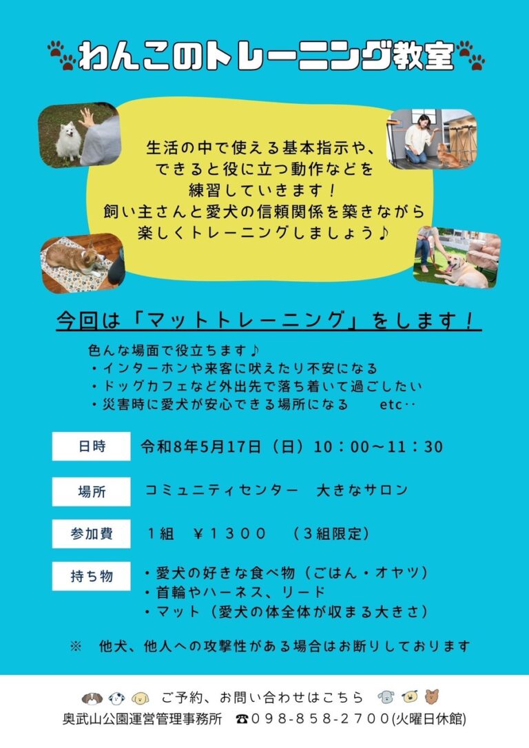 わんこのトレーニング教室開催！〜マットトレーニング〜