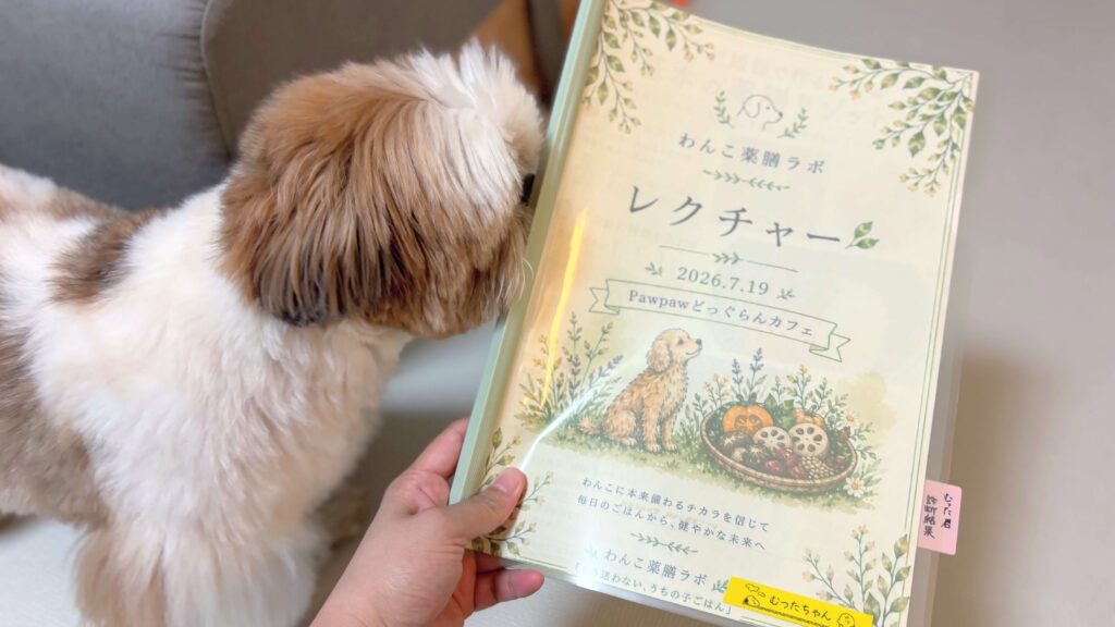 犬の体質チェック付き！事前フォームで届くオーダーメイド資料