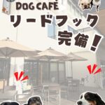 【7/19開催】大型犬も歓迎！沖縄市「キーズカフェ沖縄なかがみ西病院店」でわんこテラス開催♪無添加クッキー販売やリードフック完備も！