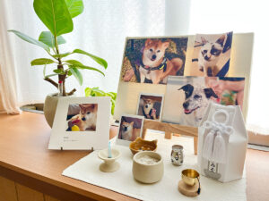 ふくはら家の愛犬・愛猫たち
