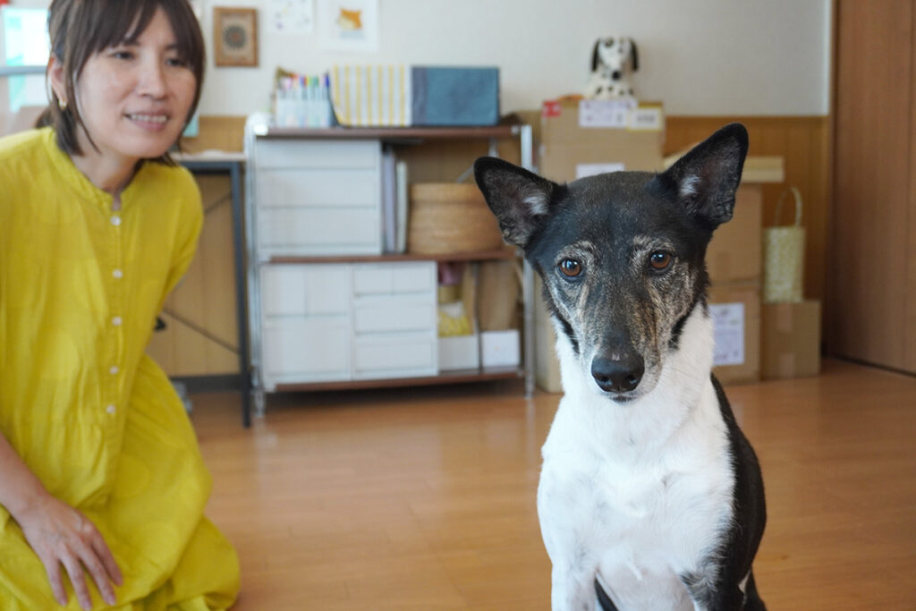 カメラマンが持ってるオヤツしか見えないルルちゃん