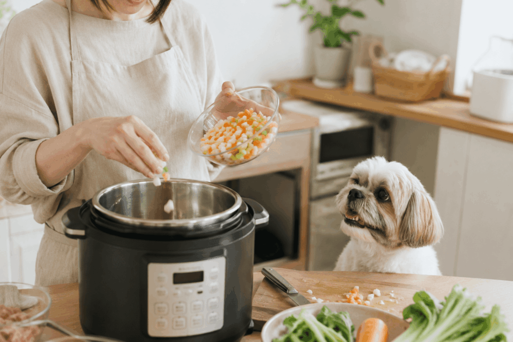 愛犬のご飯や身体のケアに新しい視点を