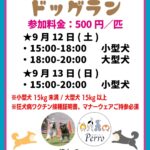 【読谷村】よみたん夜市〜秋の宴〜開催！9/12(土)・13(日)｜愛犬と楽しむドッグラン・ワークショップ・譲渡会も