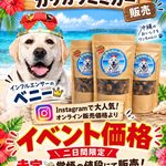 【豊見城市】イーアス沖縄豊崎ドッグフェス開催！9/22(火・祝)・23(水・祝)｜ドッグラン・防災講座・夜のライトアップも
