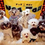 【豊見城市】イーアス沖縄豊崎ドッグフェス開催！9/22(火・祝)・23(水・祝)｜ドッグラン・防災講座・夜のライトアップも