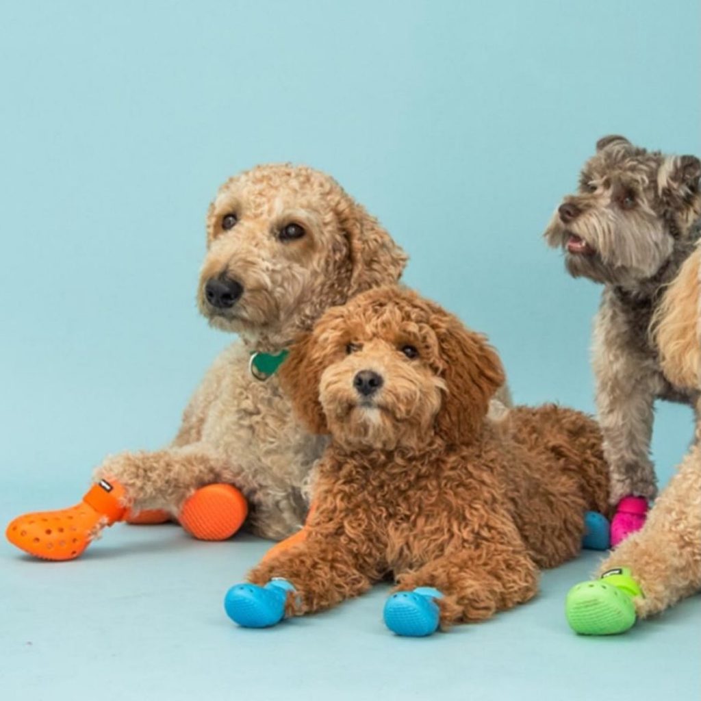 【出店ブース紹介】洗練された犬服&NY発の犬靴セレクト「True Blue dog supplies」