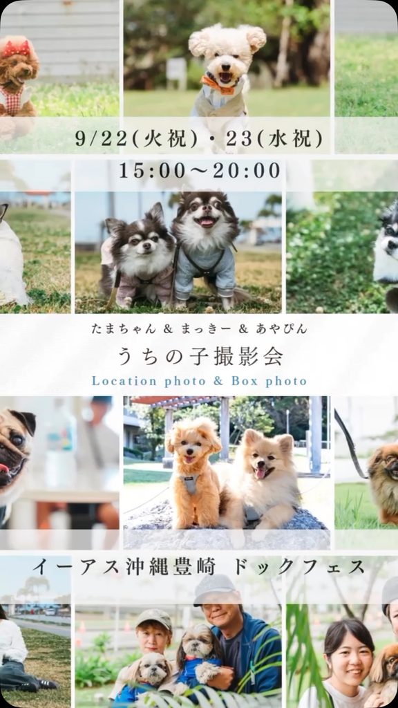 プロが残す一生の宝物「うちの子撮影会」|ロケーション&ボックスフォト(フェス限定特別価格)