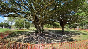 八重島公園（やえしまこうえん）貸切「木陰のドッグラン」