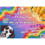 【那覇市】奥武山公園で「ワンワンナイトカーニバル＆奥武山夜市」開催！11/21(土)・22(日)｜特設ドッグラン・夜市グルメ・出店者募集中